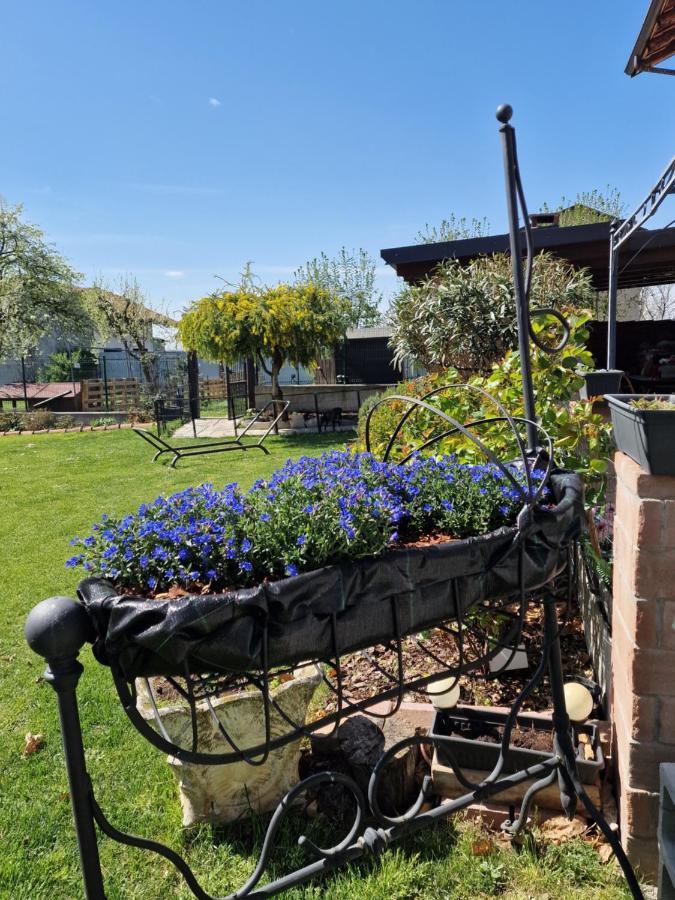 La Tana Dei Corgi Bed & Breakfast Moncrivello Exterior photo
